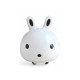 Детская каталка Rabbit 333, для детей от 1 года, музыка и световые эффекты, крепкий пластиковый корпус, резиновые колеса, нагрузка до 30 кг (белый, розовый)