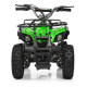 Мощный и быстрый квадроцикл на аккумуляторах Profi HB-EATV800N-5 V3