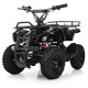 Быстрый квадроцикл на аккумуляторах Profi HB-EATV800N-2 V3 800W черный