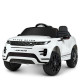 Дитячий електромобіль Land Rover Bambi Racer M 4418EBLR, 2 мотори 45W, 1 акумулятор 12V9Ah, 2 кольори