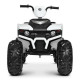 Квадроцикл Bambi M 4246EL-1 функциональный для детей
