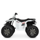 Квадроцикл Bambi M 4246EL-1 функциональный для детей