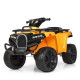 Детский квадроцикл Bambi ZP5138E-6 MP3 USB колеса EVA желтый
